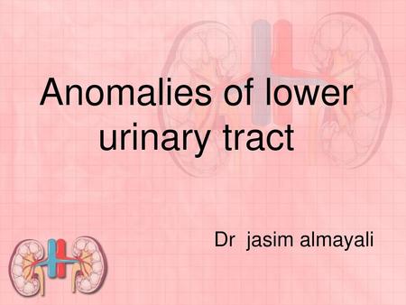 Anomalies of lower urinary tract