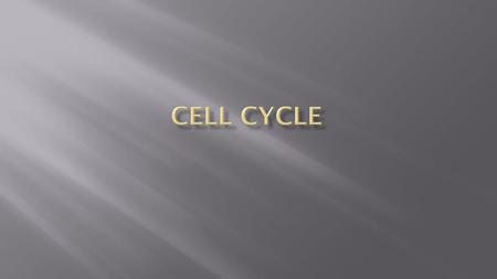 Cell Cycle.