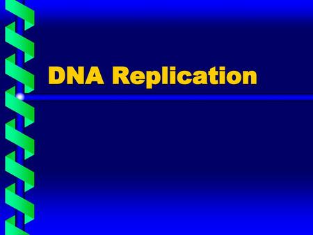 DNA Replication.