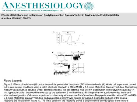 Effects of Halothane and Isoflurane on Bradykinin-evoked Calcium2+Influx in Bovine Aortic Endothelial Cells Anesthes. 1996;85(2):366-679. Figure Legend: