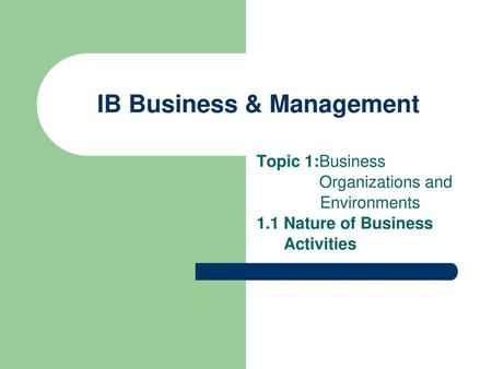 IB Business & Management