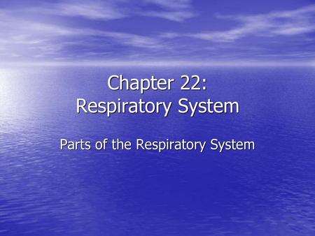 Chapter 22: Respiratory System