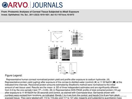 Invest. Ophthalmol. Vis. Sci ;52(3): doi: /iovs Figure Legend: