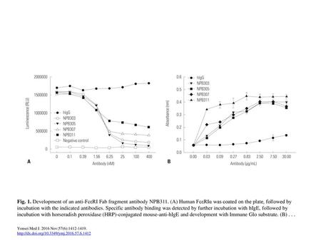 Fig. 1. Development of an anti-FcεRI Fab fragment antibody NPB311