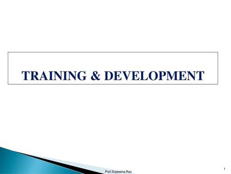 TRAINING & DEVELOPMENT