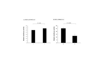 Relative luciferase activity Relative luciferase activity