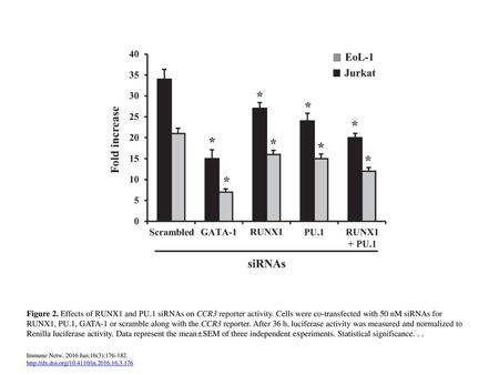 Figure 2. Effects of RUNX1 and PU. 1 siRNAs on CCR3 reporter activity