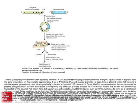 The use of reporter genes to define DNA regulatory elements