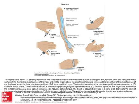 Testing the radial nerve. (A) Sensory distribution