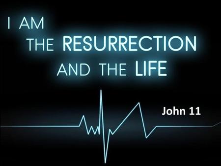 John 11.