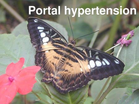 Portal hypertension.