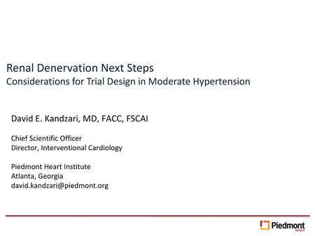 Renal Denervation Next Steps