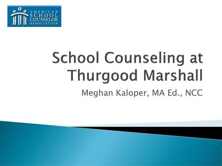 School Counseling at Thurgood Marshall