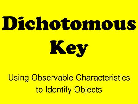 Using Observable Characteristics to Identify Objects