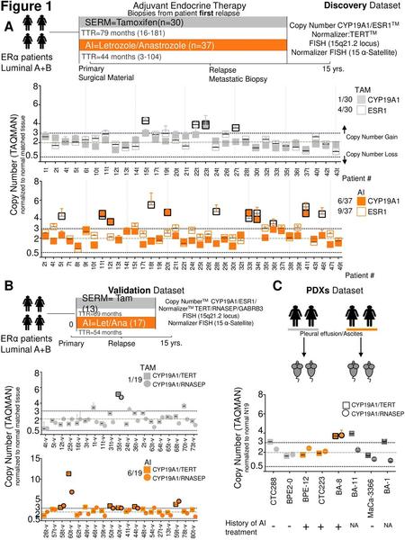 Figure 1 A B C - + ERα patients Luminal A+B Adjuvant Endocrine Therapy