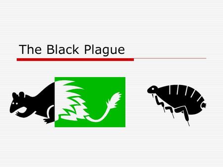 The Black Plague.