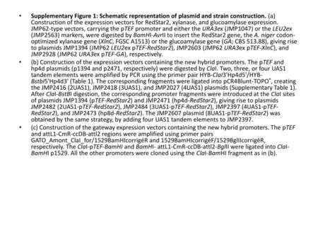 Supplementary Figure 1: Schematic representation of plasmid and strain construction. (a) Construction of the expression vectors for RedStar2, xylanase,