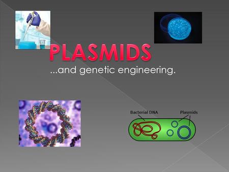 PLASMIDS ...and genetic engineering..