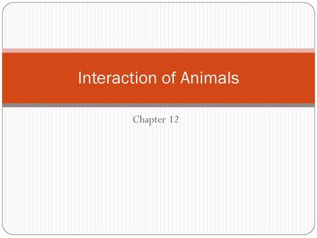 Interaction of Animals