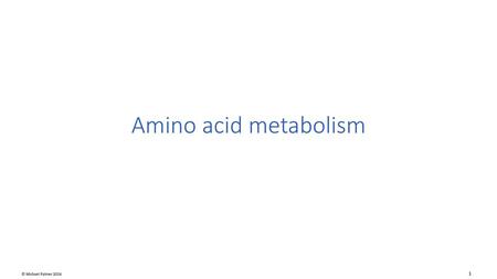 Amino acid metabolism.