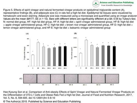 Figure 5. Effects of spirit vinegar and natural fermented vinegar products on epidydimal triglyceride content (A), representative findings (B), and adipocyte.