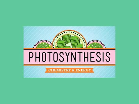 Biochemistry Bio- Chemistry- life / living the study of chemicals