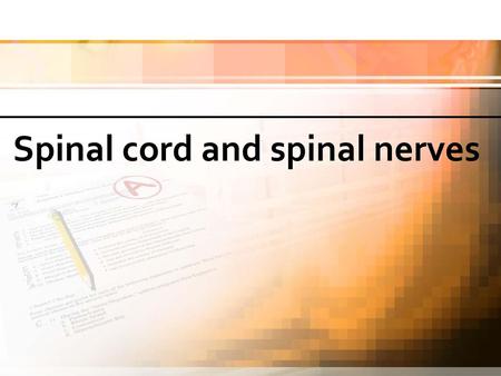 Spinal cord and spinal nerves