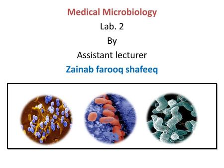 Bacterial Morphology Bacteria: are unicellular free living organisms without chlorophil having doth DNAand RNA.