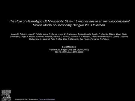 The Role of Heterotypic DENV-specific CD8+T Lymphocytes in an Immunocompetent Mouse Model of Secondary Dengue Virus Infection  Laura B. Talarico, Juan.