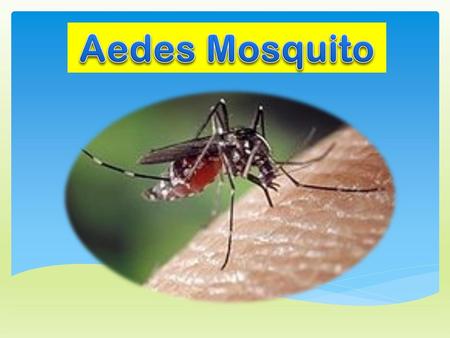 Aedes Mosquito Cases are increasing annually and deaths are reported yearly.