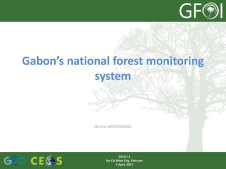 Gabon’s national forest monitoring system