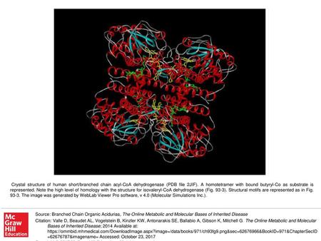 Crystal structure of human short/branched chain acyl-CoA dehydrogenase (PDB file 2JIF). A homotetramer with bound butyryl-Co as substrate is represented.