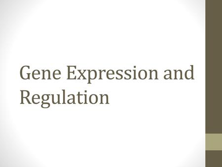 Gene Expression and Regulation