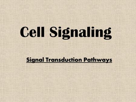 Signal Transduction Pathways