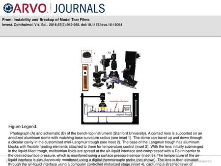 Figure Legend: From: Instability and Breakup of Model Tear Films