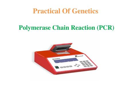 Polymerase Chain Reaction (PCR)