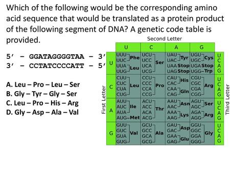 Which of the following would be the corresponding amino acid sequence that would be translated as a protein product of the following segment of DNA? A.