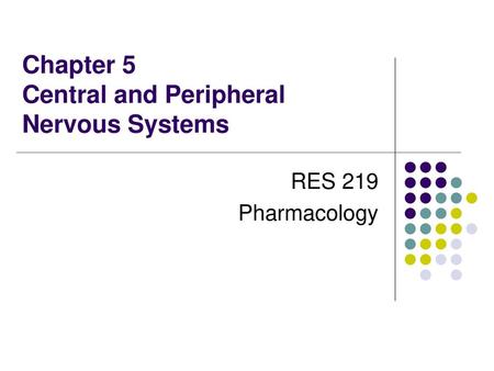 Chapter 5 Central and Peripheral Nervous Systems