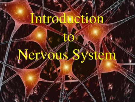 Introduction to Nervous System.