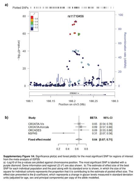 A) b) Supplementary Figure 1A: Significance plot(a) and forest plot(b) for the most significant SNP for regions of interest from the meta-analysis of IGP29.