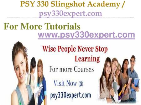 PSY 330 Slingshot Academy / psy330expert.com