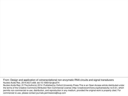 Figure 2. Synthesis and execution of RNA CHA circuit