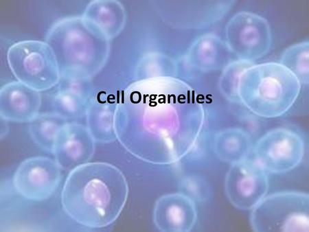 Cell Organelles.