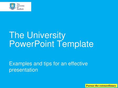 The University PowerPoint Template