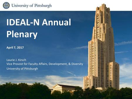 IDEAL-N Annual Plenary