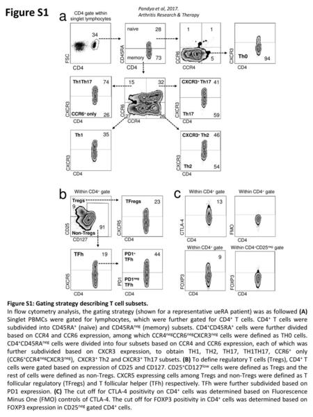 a b c Figure S1 Figure S1: Gating strategy describing T cell subsets.