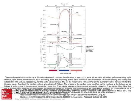 Diagram of events in the cardiac cycle