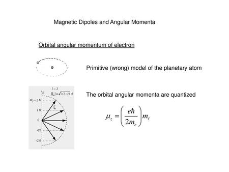 Magnetic Dipoles and Angular Momenta