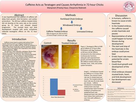 Caffeine Treated Embryo