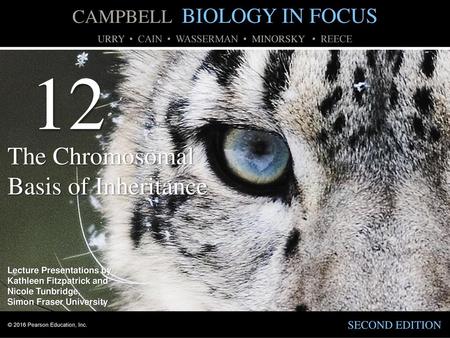 The Chromosomal Basis of Inheritance